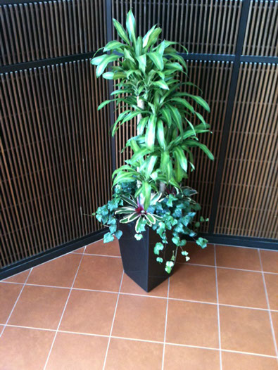 Interior planter
